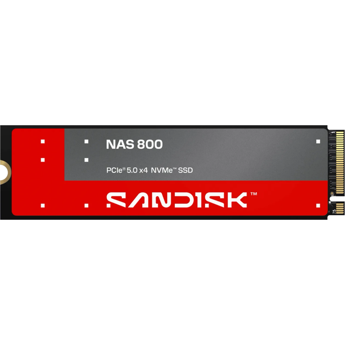 Stockage SSD 960GB SanDisk NAS 800 (SDSNP2960GAN) - photo 2