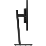 Écran Lenovo 24" ThinkVision T24-40 (64A4MARXEU)