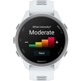 Montres connectées Garmin Forerunner 170 Whitestone with Whitestone/Cloud Blue Band (010-03920-01)