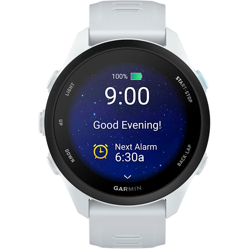 Montres connectées Garmin Forerunner 70 Whitestone - 010-04307-01 - photo 5