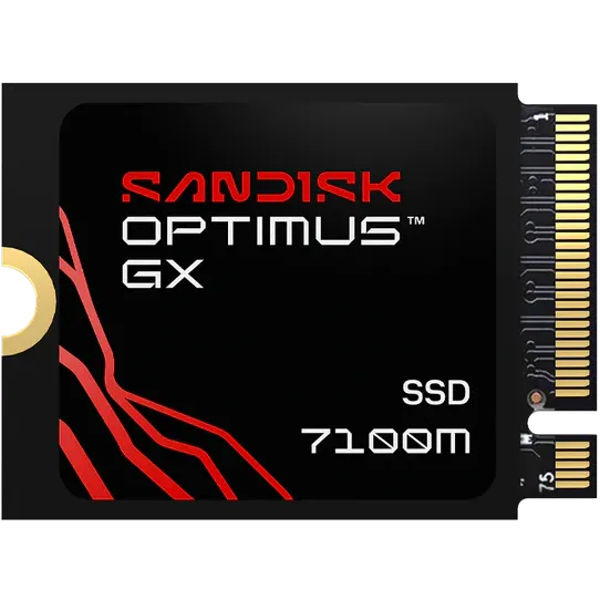 SSD interne 1TB SanDisk Optimus GX 7100M (SDSP71100TAT-000E0)