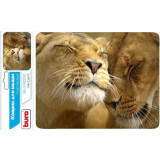 Natte à langer Buro BU-M40030 Lion