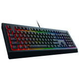 Tastatūra Razer Cynosa V2 (RZ03-03400700-R3R1)