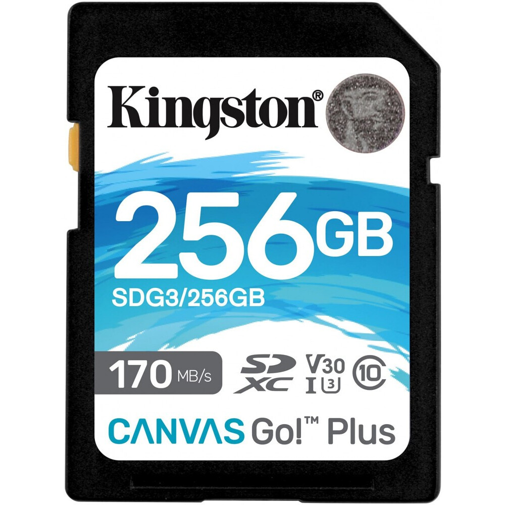 Carte mémoire 256Gb Kingston SD 256Gb (SDG3/256GB)